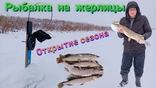 Рыбалка на жерлицы/первый лед/зимняя рыбалка/рыбалка/Рыбинка/жерлицы