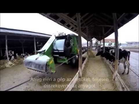 Videó: Kiegészítő Takarmány Csirkéhez Egy Nyaralóban