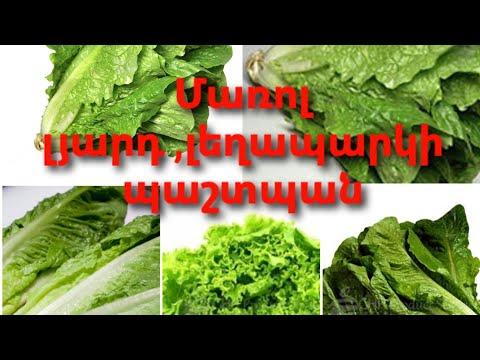 Video: Դառը գազար. Ինչն է դառը դարձնում գազարը