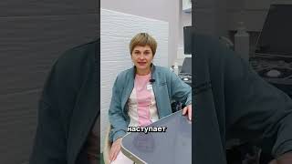 Может ли питомец простудиться