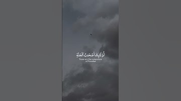 القارئ #أحمد_خضر |سورة الأحقاف