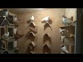Мои голуби в ноябре, строим отсек для таклы и бакинцев