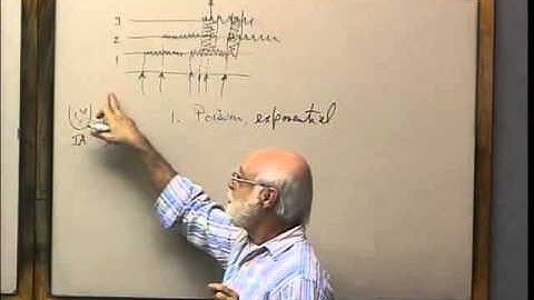 MAP6264: Queueing Theory - Lecture 02