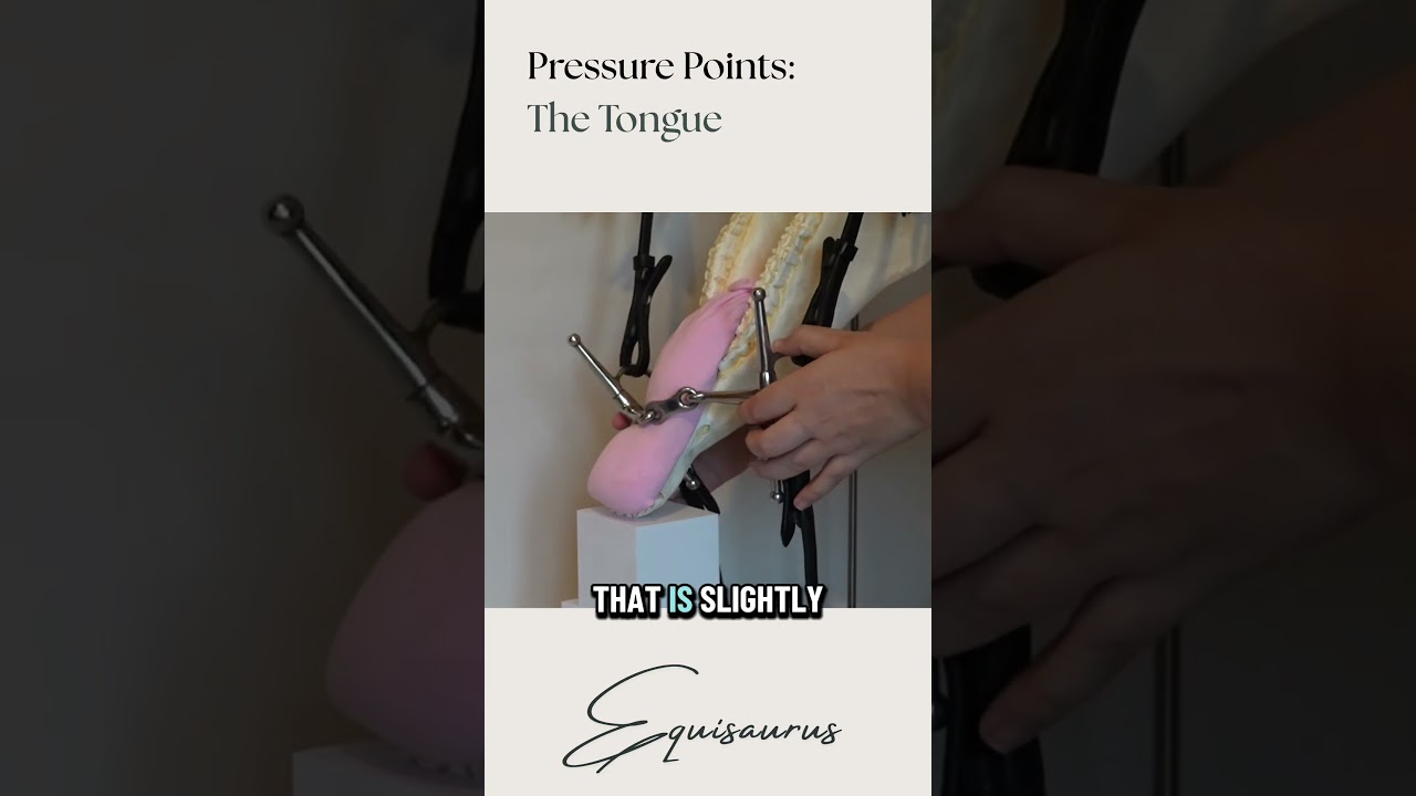 Where bits can apply pressure - part 1 - the tongue 