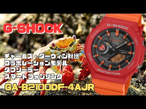 N*7様 CASIO 腕時計限定品！バービーモデル‼️値札無し、新品！レア N*7様 CASIO 腕時計限定品！バービーモデル‼️値札無し、新品！レア N