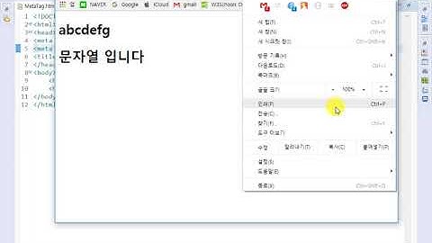 개발자를 위한 HTML & HTML5 Tutorials- 8강 메타 태그(Meta tag)