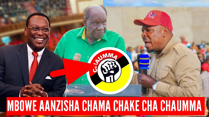 KIMBEMBE! JOHN HECHE AFICHUA SIRI NZITO NYUMA YA PAZIA MBOWE KWENDA CHAUMMA WASIRA ATAJWA