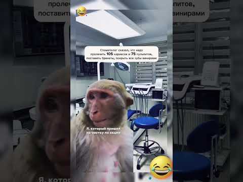 Жиза🤣 #смешно #жиза #жизнь #стоматология #стоматолог#зубы#здоровье#юмор#drama #прикол#comedy #смех
