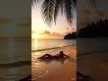 Lost in Paradise: Golden Hour Bliss 🌊