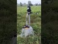 gallu gallu mani