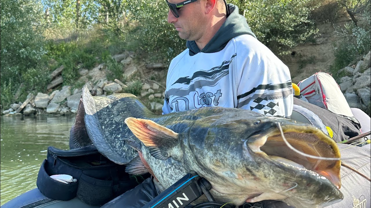 Siluro a lance! Buscando las POSTURAS!