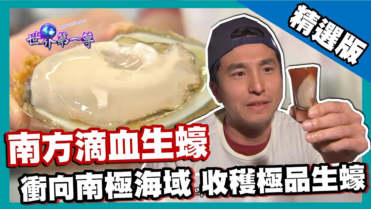 【紐西蘭】南極布拉夫生蠔 世界限定極品 (Bluff Oyster)｜《世界第一等》672集精華版