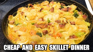 Cheap and Easy Skillet Dinner  Feed Your Family On A Budget