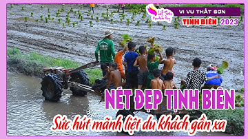 Sức hút nét đẹp Tịnh Biên - Thốt nốt huyền thoại, làng dệt, hội cấy mạ - Thất sơn vạn điều hay