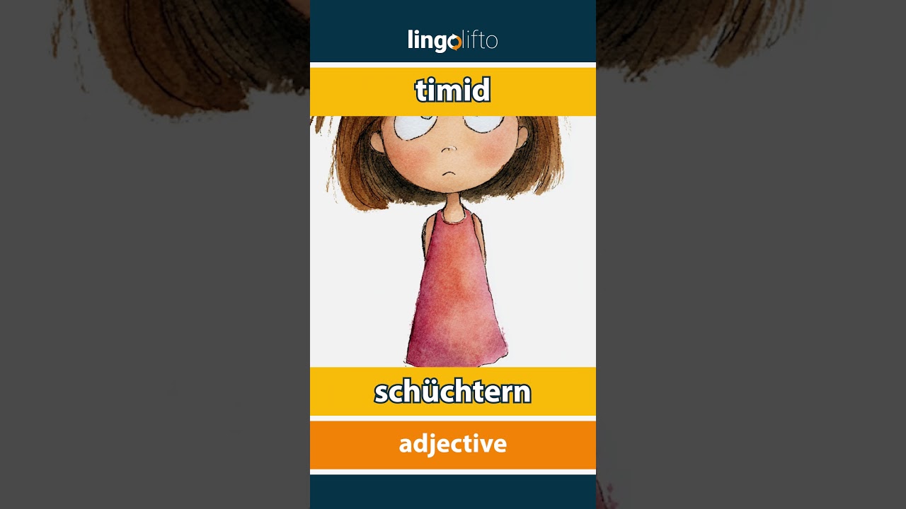 🇬🇧🇩🇪 timid - schüchtern : learn English : Lernen wir Englisch : vocabulary builder