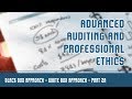 Audit Under CIS Environment | Audit Approaches Under CIS | Black Box &amp; White Box Approach | Part 2 A