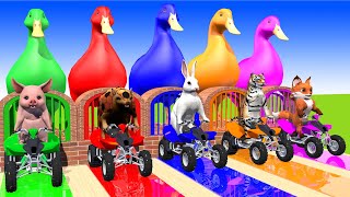 5 Giant Duck & Wild Animals Cage Game Cow Gorilla fox Pangolin Elephant Sheep Crossing Fountain