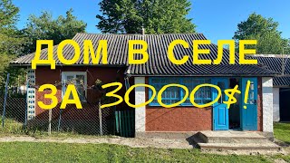 ДОМ В СЕЛЕ ЗА 3000$! 60 СОТОК ЗЕМЛИ! УКРАИНА