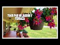 TOUR por mi Jardín +Terraza🌺🦋