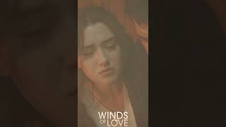 Halil, Zeynep Için Kendini Alevlerin Içine Attı  | #Windsoflove #Shorts #Zeyhal #Ruzgarlitepe