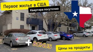 Наше первое ЖИЛЬЕ в США. Квартира посуточно. + ЦЕНЫ на ПРОДУКТЫ - первый поход в магазин Америки.