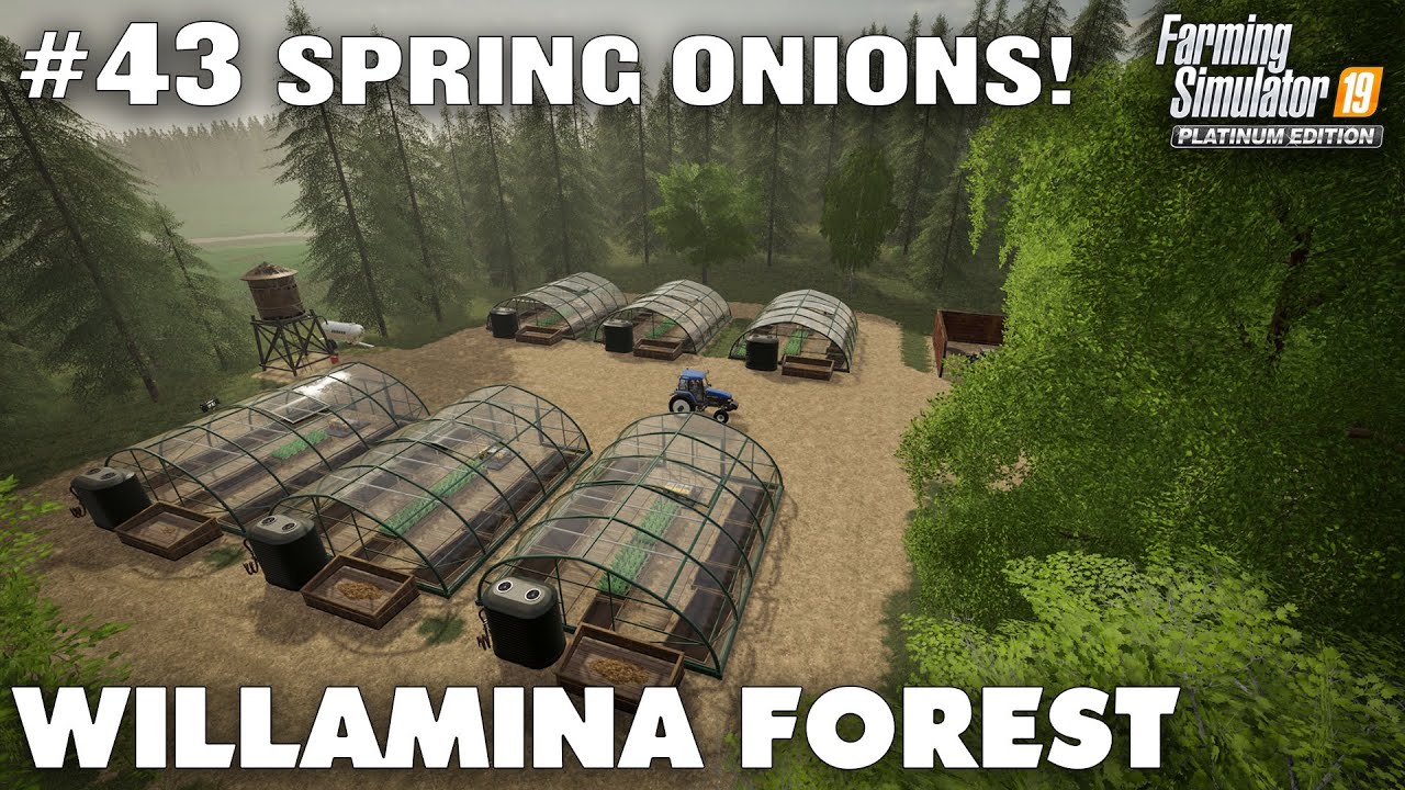 Willamina Forest #43 Building Onion Greenhouses, Farming Simulator 19 Timelapse, Seasons