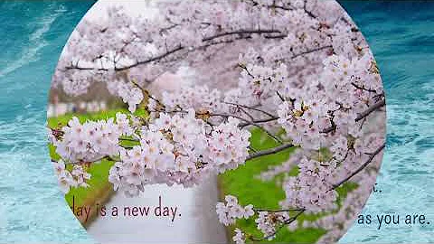 Morning Self-Love Affirmation |  #selflove #morningaffirmations #innerpeace #morningmotivation