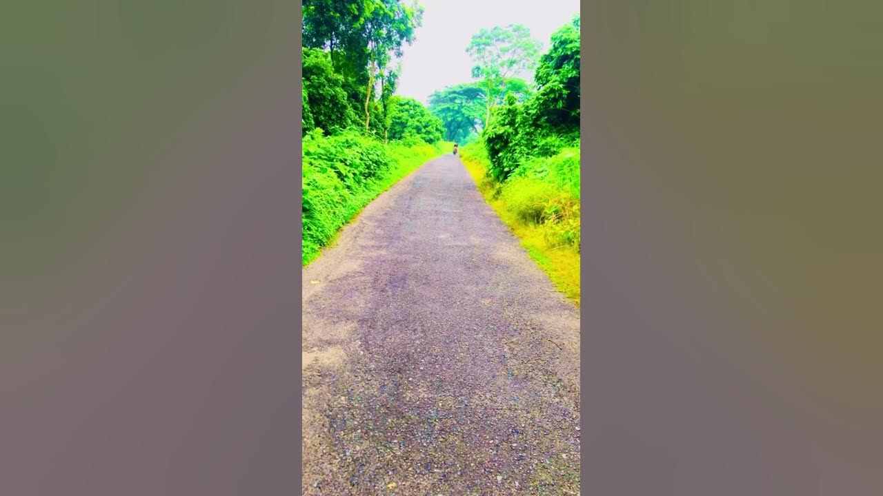 short YouTube সচ্ ভিড়িও #cricket #calendar #date #july20 - YouTube