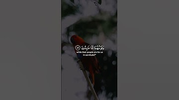 تلاوة عطرة للقارئ الشيخ ياسر الدوسري{ثم أرسلنا موسى وأخاه هارون}✨