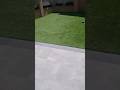 repair job on Artificial grass #shorts #short #freefire #viral #funny #tiktok #trending #shortvideo