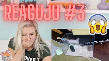 Jaký je denní příjem sacharidů v těhotenství?