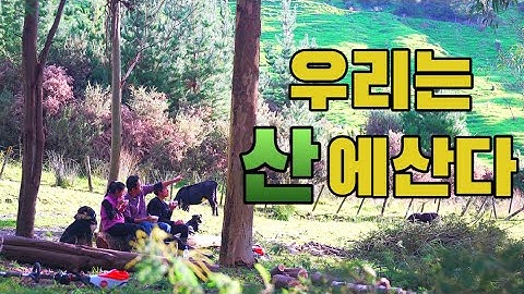 [뉴질랜드 시골가족🌹] 한국인없는 깊은 산골에 사는 두 남매와 아빠이야기