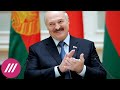 «Это месть Лукашенко»: от кого Литва хочет защититься стеной на границе с Беларусью