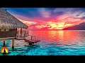 🔴 Relaxing Music 24/7, Calm Music, Sleep Music, Stress Relief Music, Meditation Music, Study, Sleep