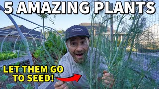 Let These Veggies Go To Seed And Something AMAZING Happens!