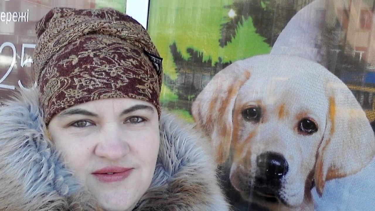 Калина максим куст Калина максим куст