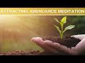 Attracting Abundance Meditation - Hypnosis Session - Guided Meditation - with binaural beats