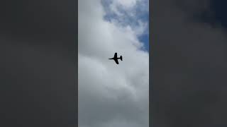 Eflite Habu 80mm fast and low passes !#edf #edfjet #eflite #rc #rcjet #rcplane
