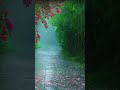 Heavy relax rain sounds for deep sleeping no ads #rain #rainoundforsleep #rainsounds #asmr #relax