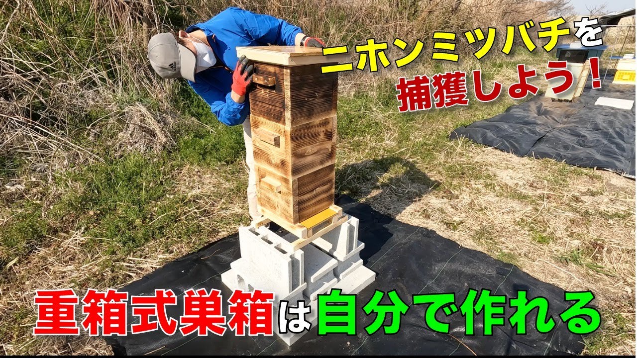【脱サラして養蜂】ニホンミツバチ用の重箱式巣箱をDIY
