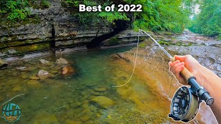 THE BEST FLY FISHING / TROUT FISHING VIDEO!! (Best of Compilation - 2022)