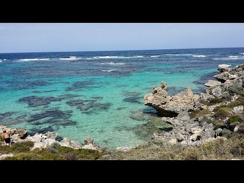 Video: Ostrov Kakadu: Iná Perspektíva Na Novoročný Ohňostroj V Sydney - Matador Network