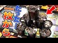 ※メダル1枚からカンストしてしまいました。【連射でアタック】