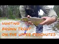 Hunting for Brown Trout on the Deschutes River | Fly Fishing