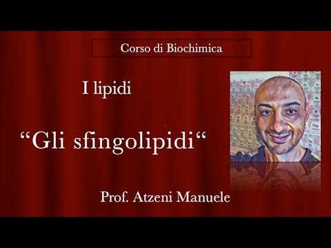 Biochimica (Gli sfingolipidi)