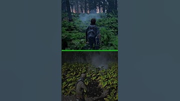 LEAF PHYSICS COMPARISON (TLOU2 VS RDR2) PART 2