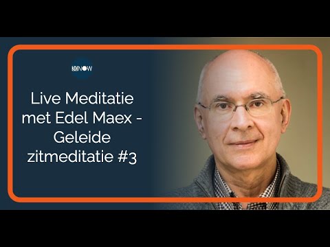 Live Meditatie met