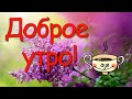 С добрым утром!☕️ Отличного дня!❤️ Супер Песня! Красивая музыкальная открытка Доброе Утро!