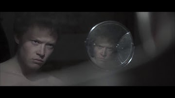 The Analog Affair - Wild (Official Video)