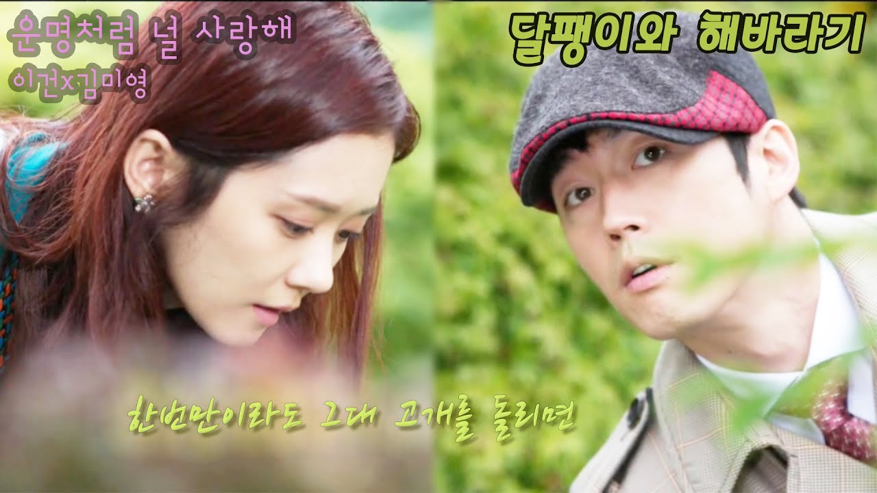 [FMV] 운널사 - 달팽이와 해바라기 | Eng Lyrics